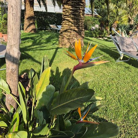 La Cicogna Bed & Breakfast Agerola Dış mekan fotoğraf