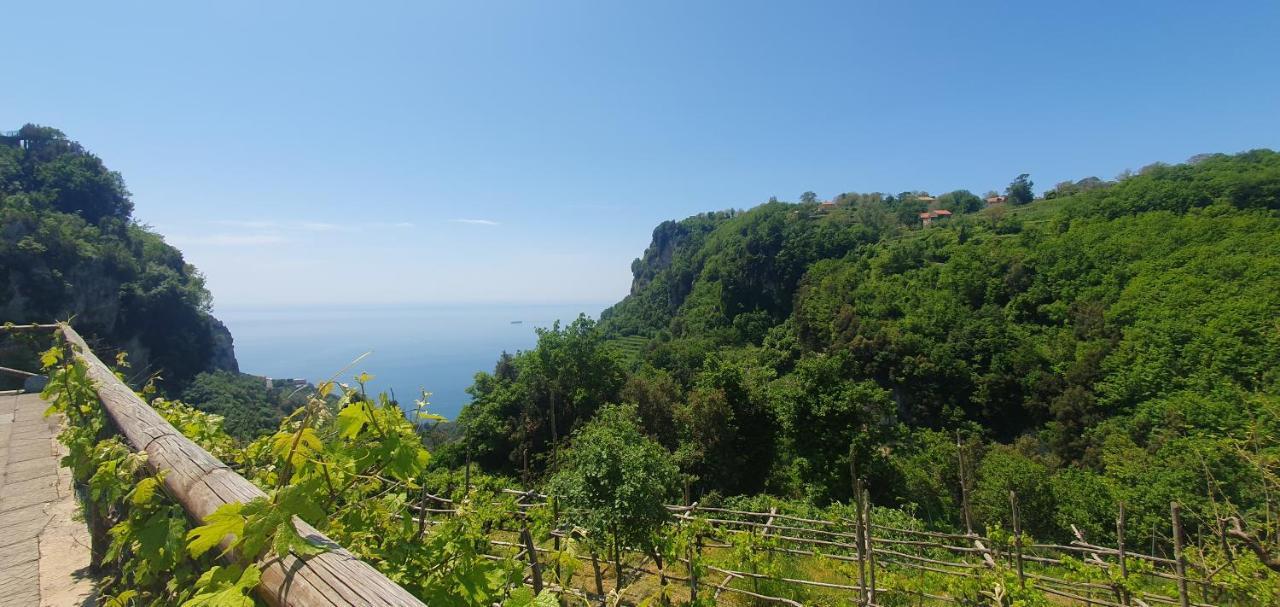 La Cicogna Bed & Breakfast Agerola Dış mekan fotoğraf