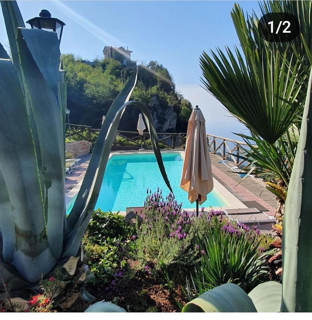 La Cicogna Bed & Breakfast Agerola Dış mekan fotoğraf