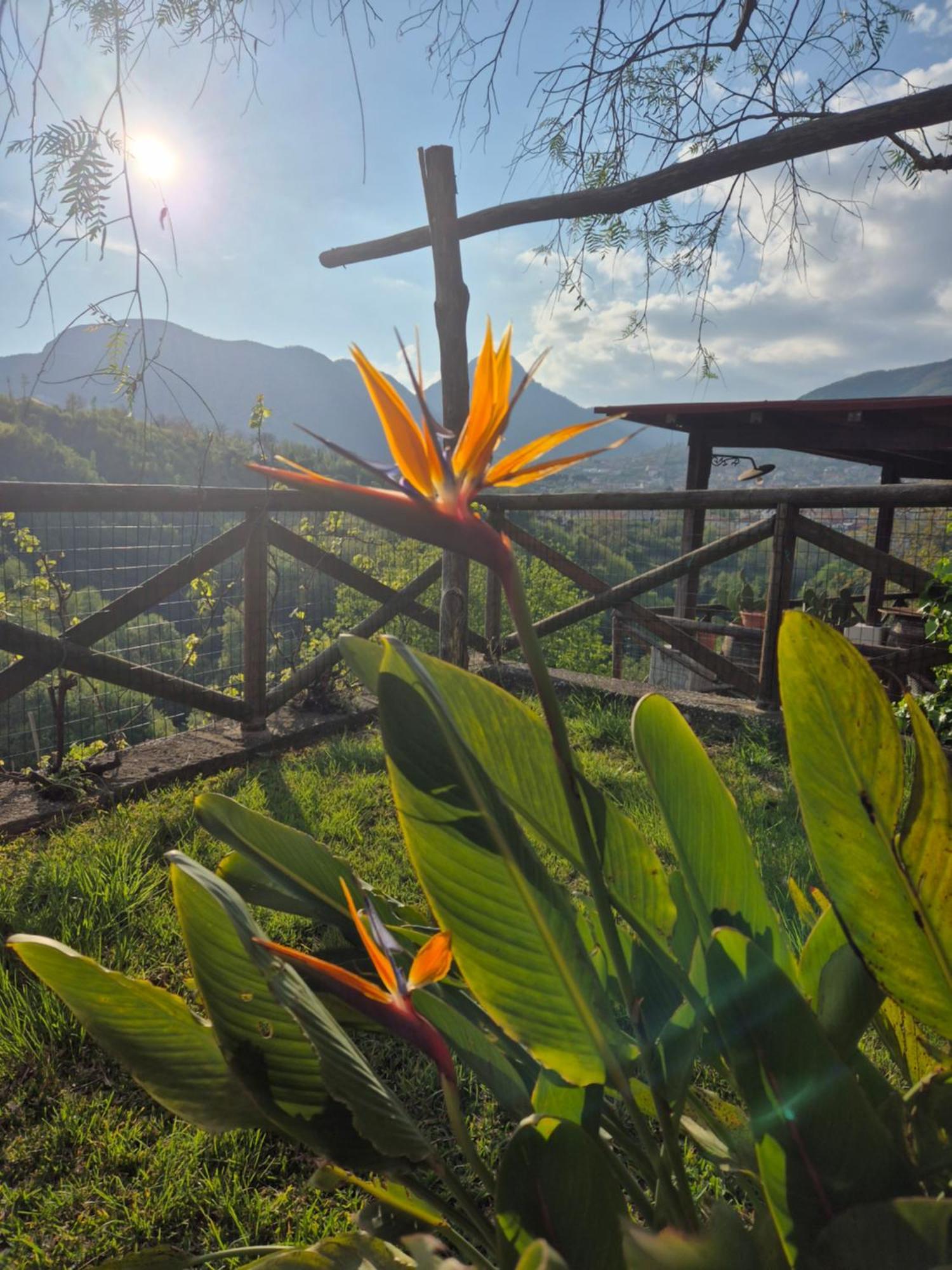 La Cicogna Bed & Breakfast Agerola Dış mekan fotoğraf