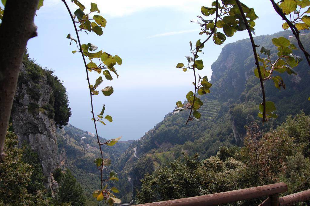 La Cicogna Bed & Breakfast Agerola Dış mekan fotoğraf